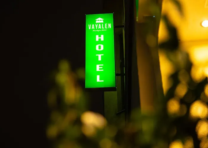Vayalen Boutique 3* Vídeň