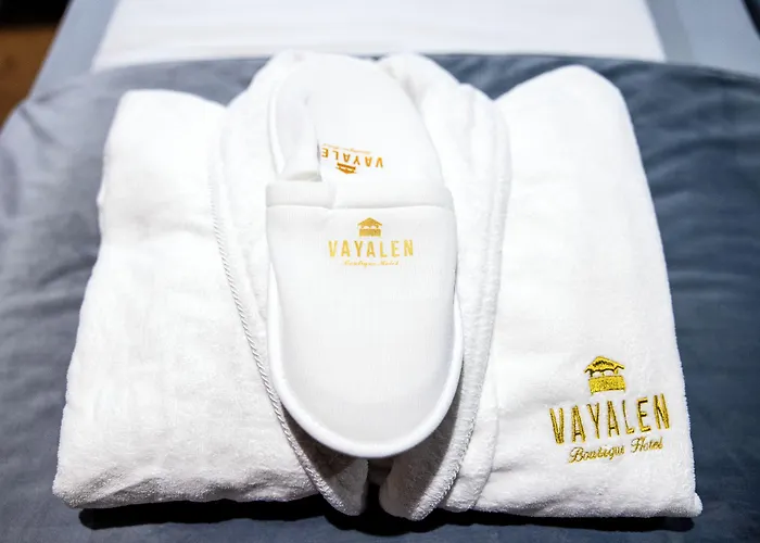 Vayalen Boutique 3* فيينا